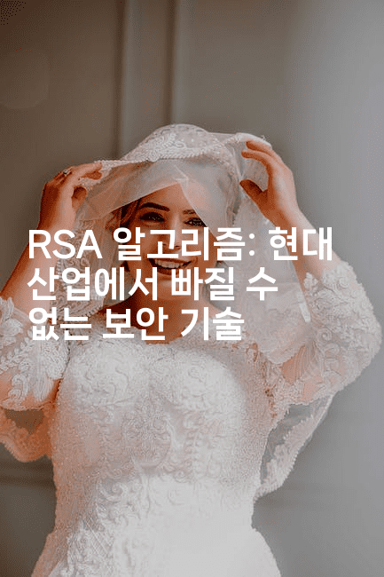 RSA 알고리즘: 현대 산업에서 빠질 수 없는 보안 기술2-집집꿍