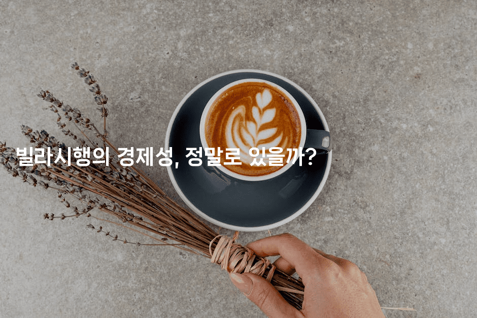 빌라시행의 경제성, 정말로 있을까?2-집집꿍