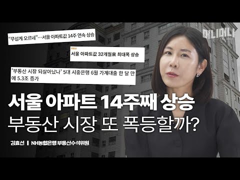 꿈틀대는 부동산 시장 (부동산 전망과 전략)ㅣ김효선 NH농협은행 부동산수석위원 [머니머니 시즌2]