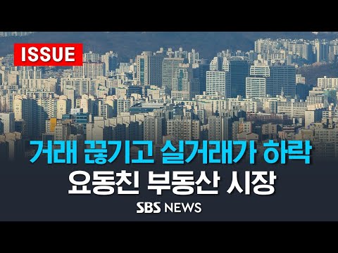 요동치는 부동산 시장...신년 부동산 시장 전망은? (이슈라이브) / SBS