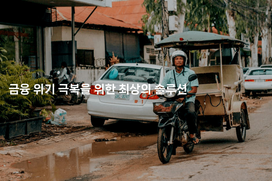 금융 위기 극복을 위한 최상의 솔루션