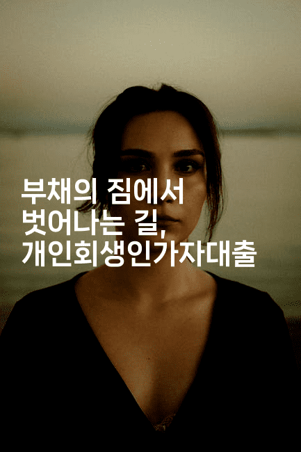 부채의 짐에서 벗어나는 길, 개인회생인가자대출-집집꿍