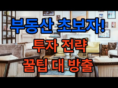 부동산 초보자 투자 전략  꿀팁 대방출