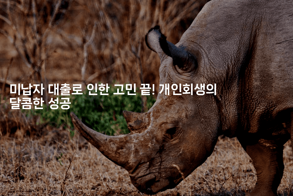 미납자 대출로 인한 고민 끝! 개인회생의 달콤한 성공-집집꿍