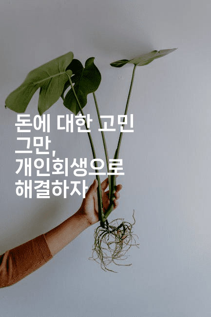 돈에 대한 고민 그만, 개인회생으로 해결하자-집집꿍